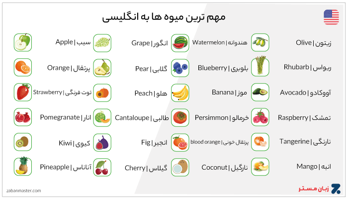 لیست میوه ها به انگلیسی با ترجمه فارسی